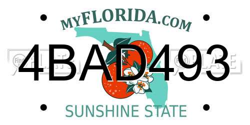 4BAD493 Florida License Plate
