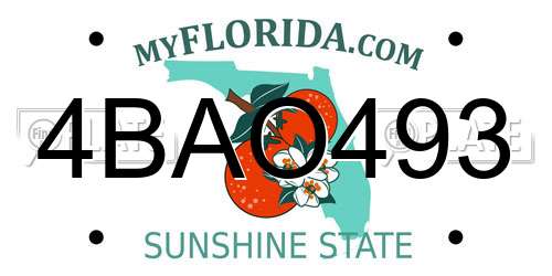 4BAO493 Florida License Plate