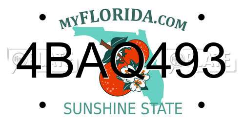 4BAQ493 Florida License Plate