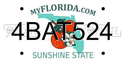 4BAT524 Florida License Plate