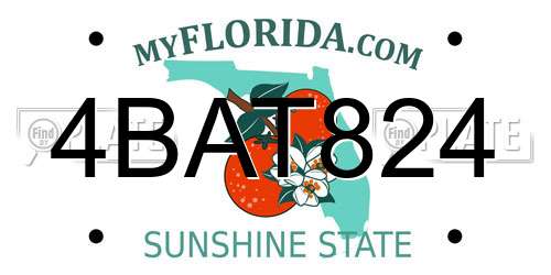 4BAT824 Florida License Plate