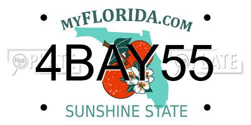 4BAY55 Florida License Plate