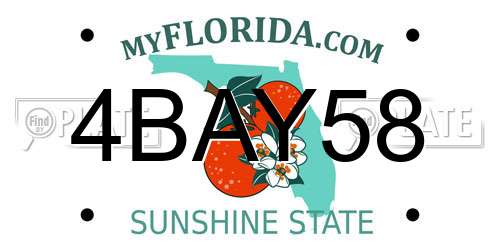 4BAY58 Florida License Plate