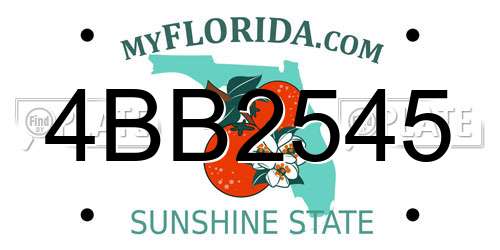4BB2545 Florida License Plate