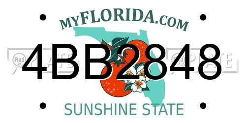 4BB2848 Florida License Plate