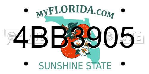 4BB3905 Florida License Plate
