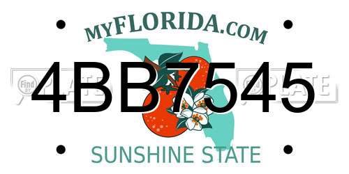 4BB7545 Florida License Plate