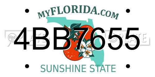 4BB7655 Florida License Plate