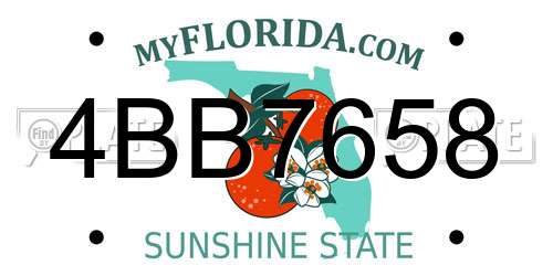 4BB7658 Florida License Plate