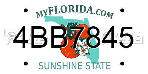 4BB7845 Florida License Plate