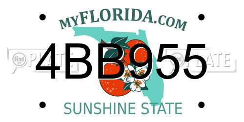 4BB955 Florida License Plate