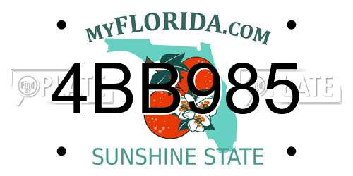 4BB985 Florida License Plate