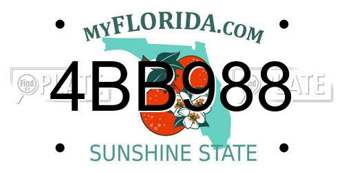 4BB988 Florida License Plate