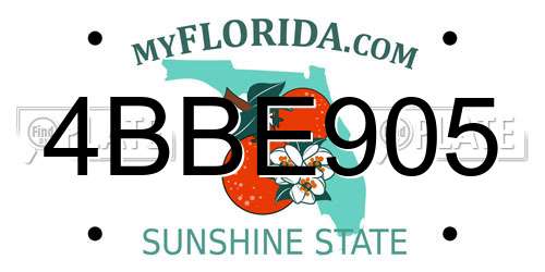4BBE905 Florida License Plate