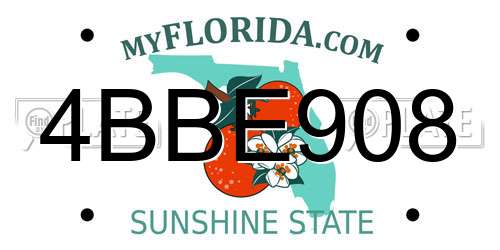 4BBE908 Florida License Plate