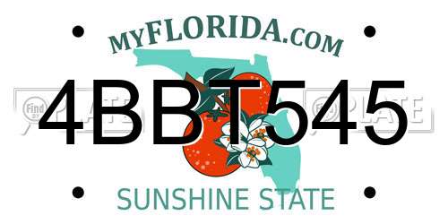 4BBT545 Florida License Plate
