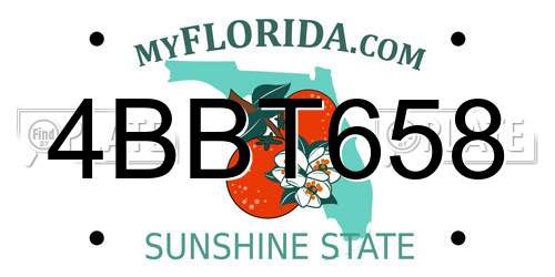 4BBT658 Florida License Plate