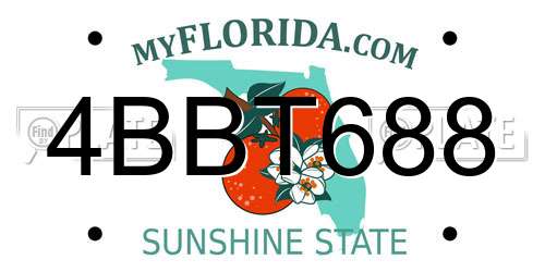 4BBT688 Florida License Plate