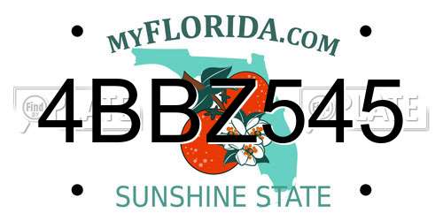 4BBZ545 Florida License Plate