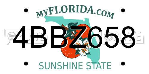 4BBZ658 Florida License Plate