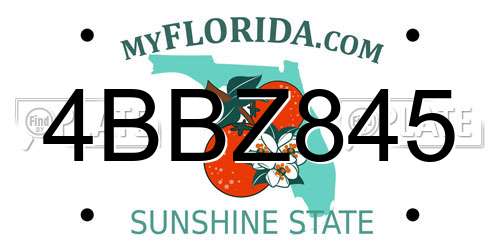 4BBZ845 Florida License Plate