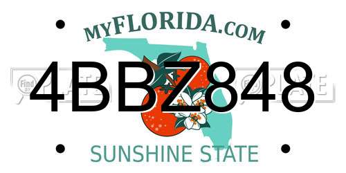 4BBZ848 Florida License Plate