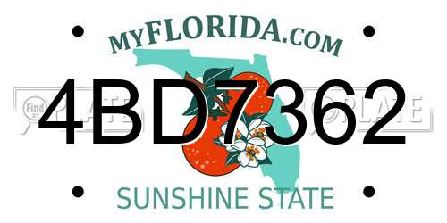 4BD7362 Florida License Plate