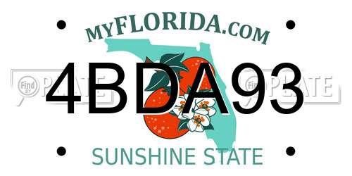 4BDA93 Florida License Plate