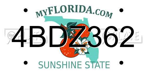 4BDZ362 Florida License Plate
