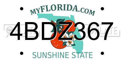 4BDZ367 Florida License Plate