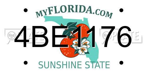 4BE1176 Florida License Plate