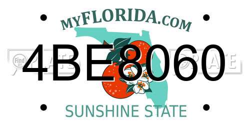 4BE8060 Florida License Plate