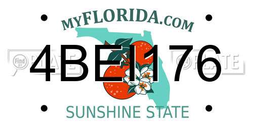 4BEI176 Florida License Plate