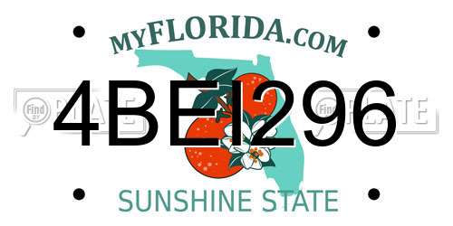 4BEI296 Florida License Plate