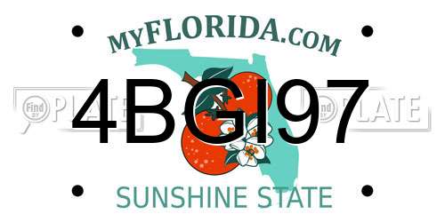 4BGI97 Florida License Plate
