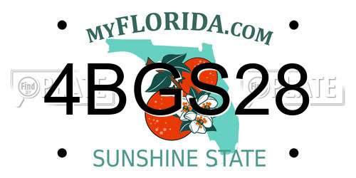 4BGS28 Florida License Plate