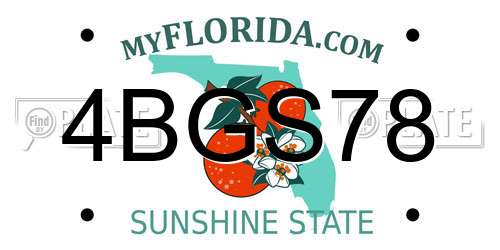 4BGS78 Florida License Plate
