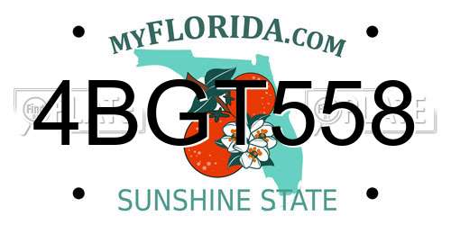 4BGT558 Florida License Plate