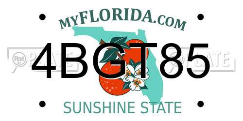4BGT85 Florida License Plate