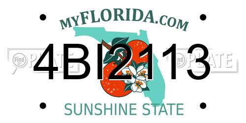 4BI2113 Florida License Plate