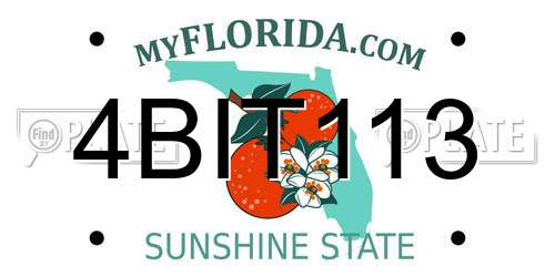 4BIT113 Florida License Plate