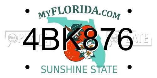 4BK876 Florida License Plate