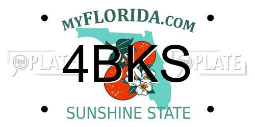 4BKS Florida License Plate