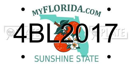 4BL2017 Florida License Plate