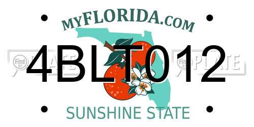 4BLT012 Florida License Plate