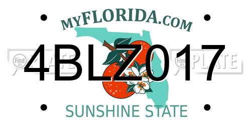 4BLZ017 Florida License Plate