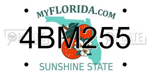 4BM255 Florida License Plate