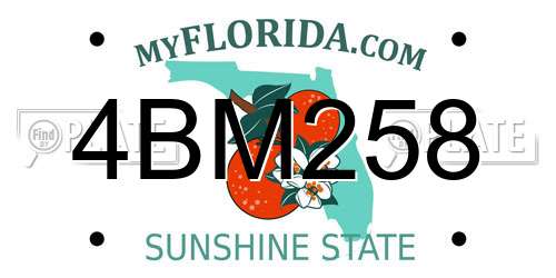 4BM258 Florida License Plate