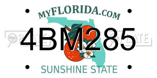 4BM285 Florida License Plate