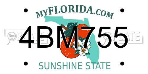 4BM755 Florida License Plate